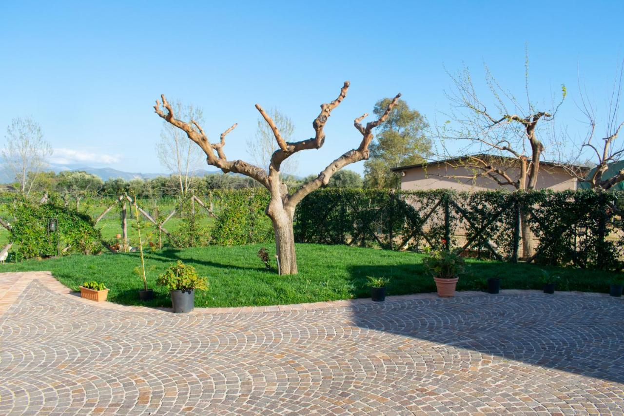 Camera Iris - B&B Antico Casale Monte San Biagio Ngoại thất bức ảnh